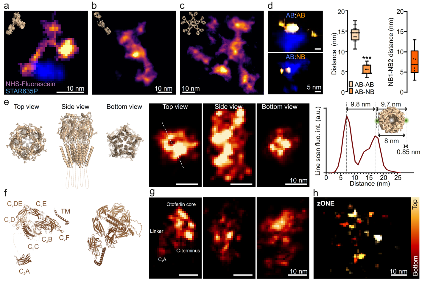 ONE microscopy