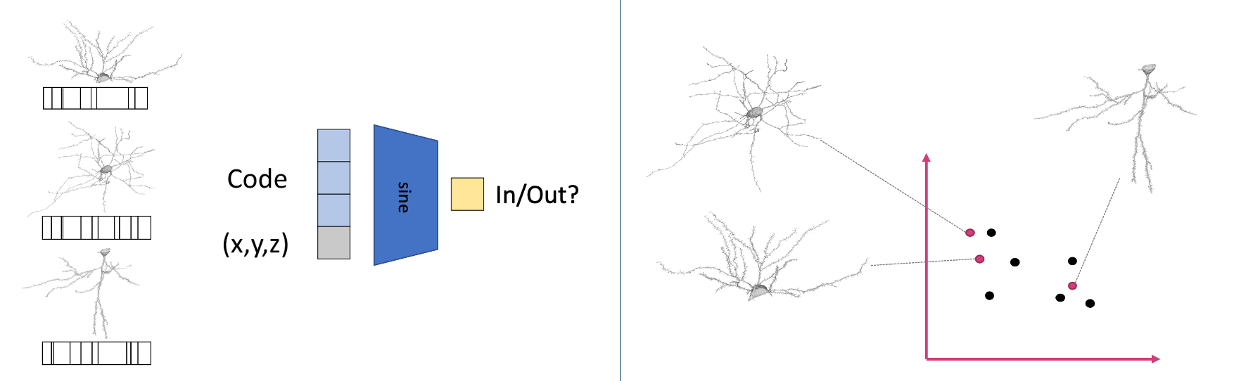 implicit model