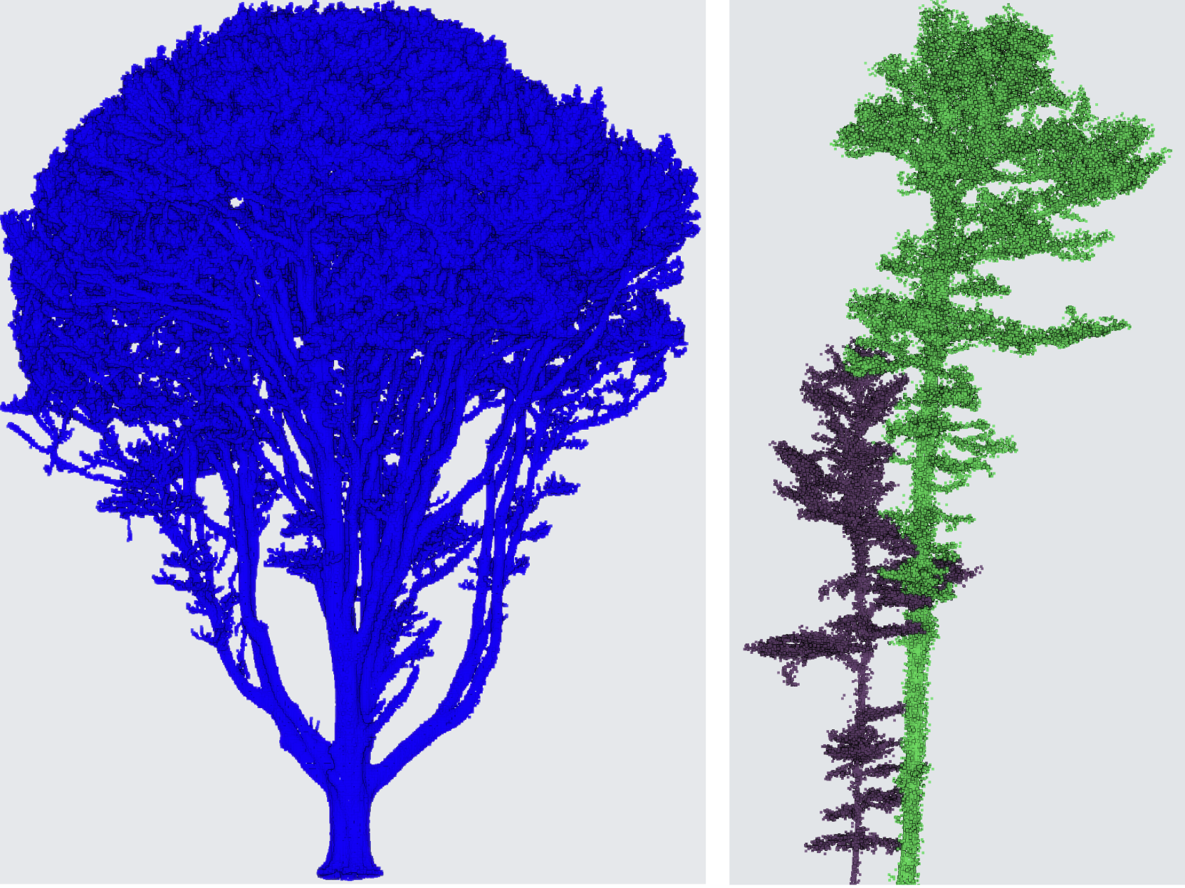 Lidar scans of trees